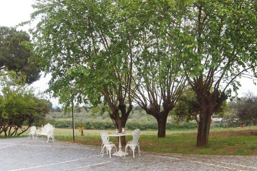 Villa Strampelli Pomezia Exterior foto
